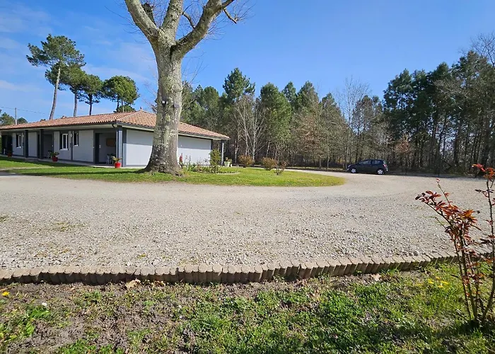 Hoteliere La Farguaise 3min Du Peage Penzion Fargues-de-Langon